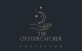 The Oystercatcher